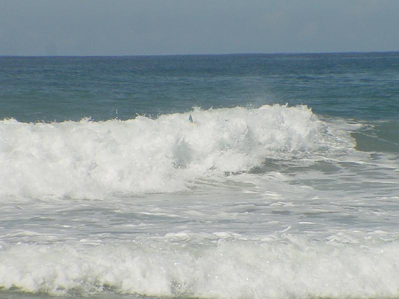 surfing 059.jpg